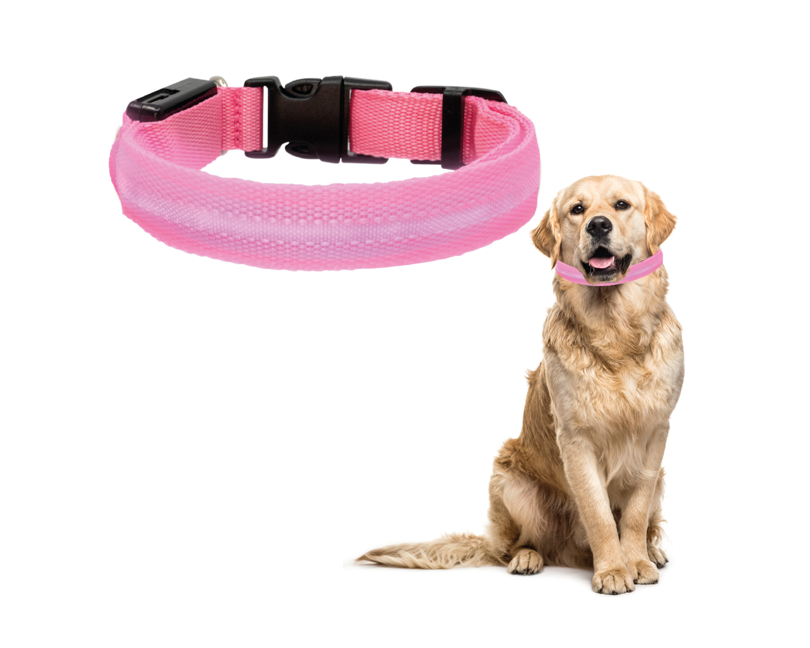 Foto 2 | Collar Para Mascotas Yelio Ajustable Con Luz Recargable Dog & Bone Talla-s Color Rosa