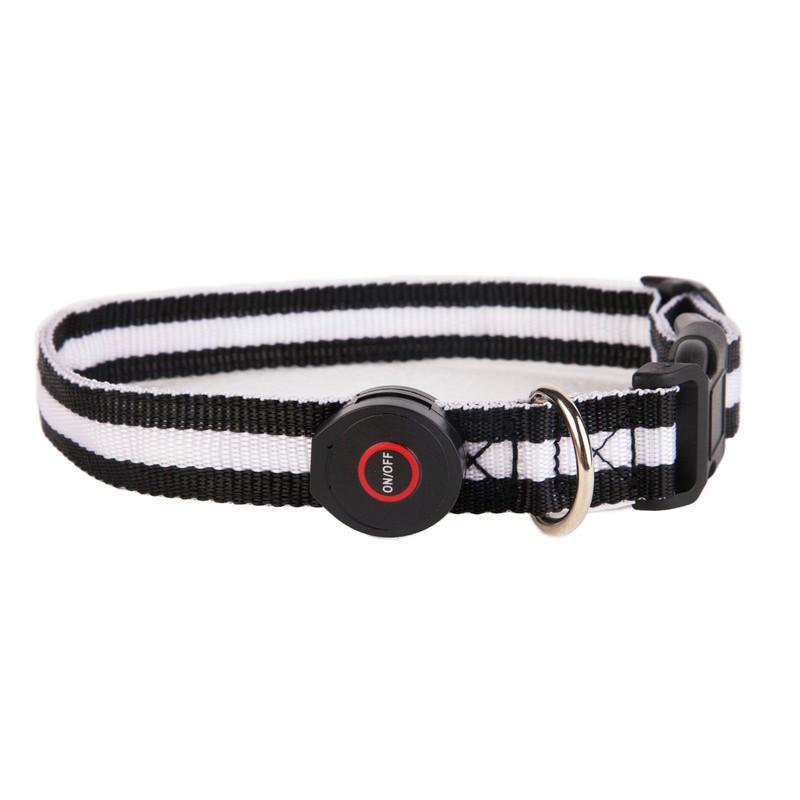 Foto 2 pulgar | Collar Grande Con Luz Led Ajustable Pets&more Negro