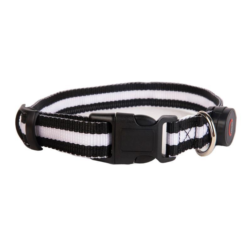 Foto 3 pulgar | Collar Grande Con Luz Led Ajustable Pets&more Negro