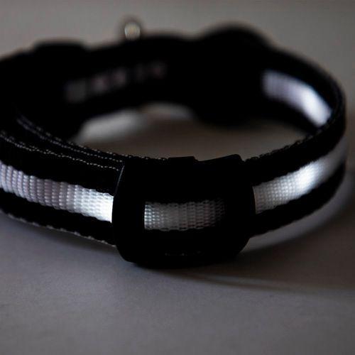 Foto 4 pulgar | Collar Grande Con Luz Led Ajustable Pets&more Negro