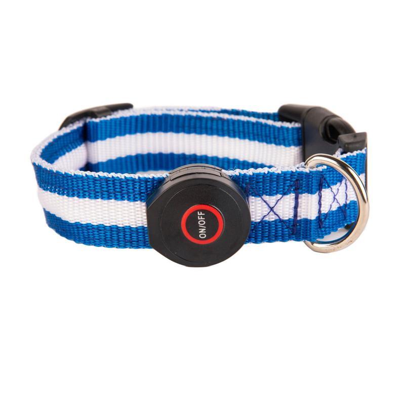 Collar Chico Con Luz Led Ajustable Pets&more Azul