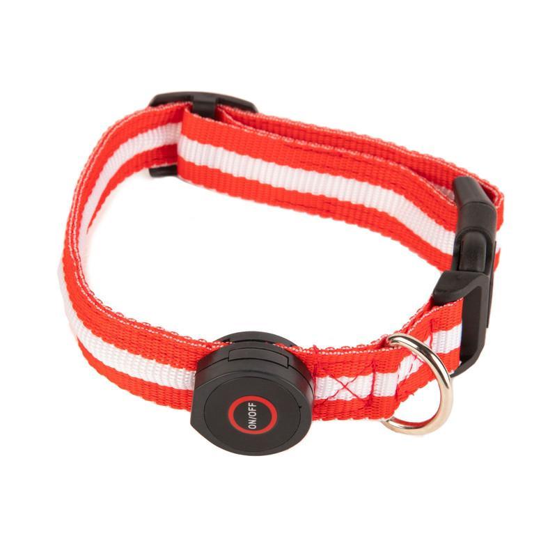 Collar Mediano Con Luz Led Ajustable Pets&more Rojo