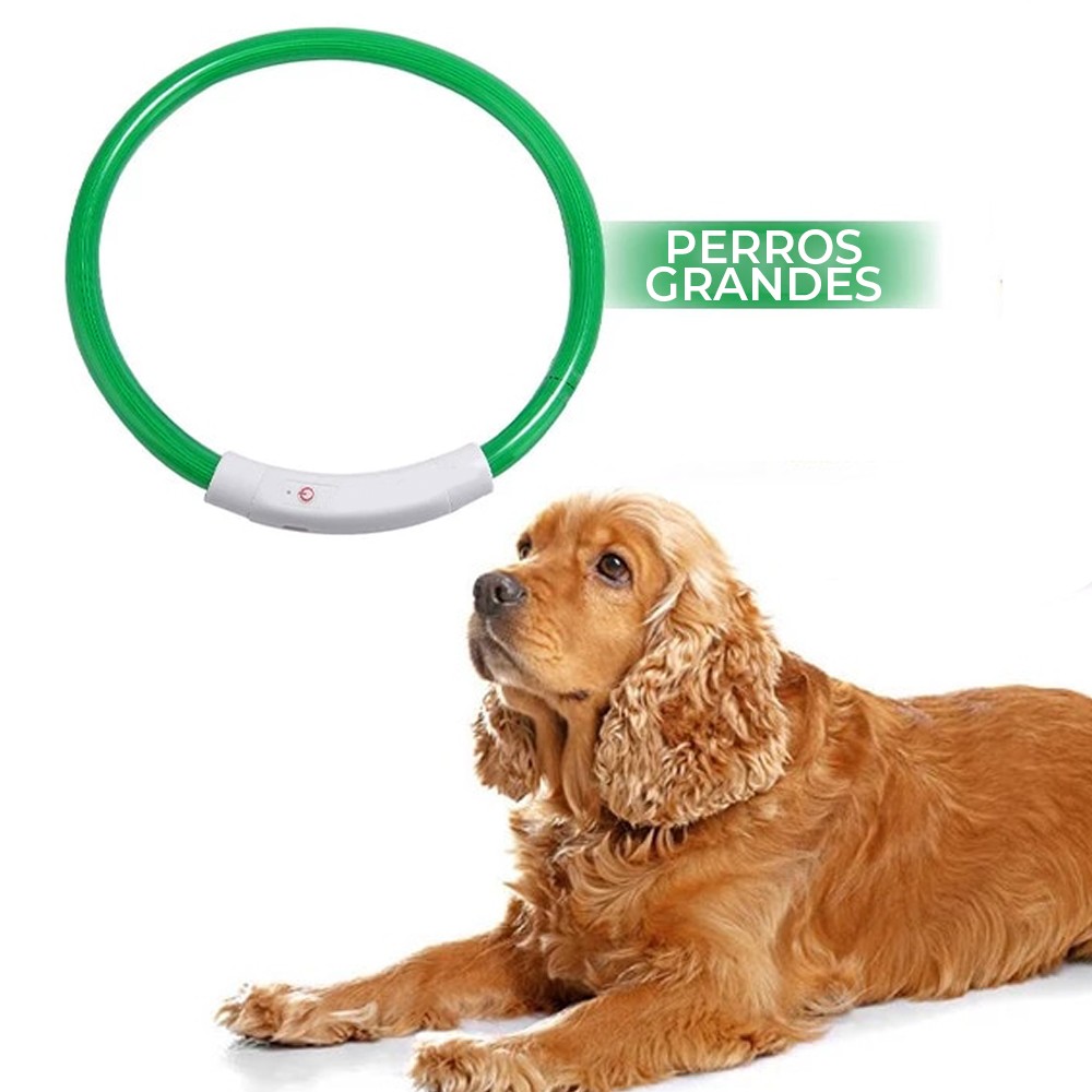 Foto 3 pulgar | Collar para Mascota Elegate MAS.31.L color Verde con Luz LED Recargable USB Talla L