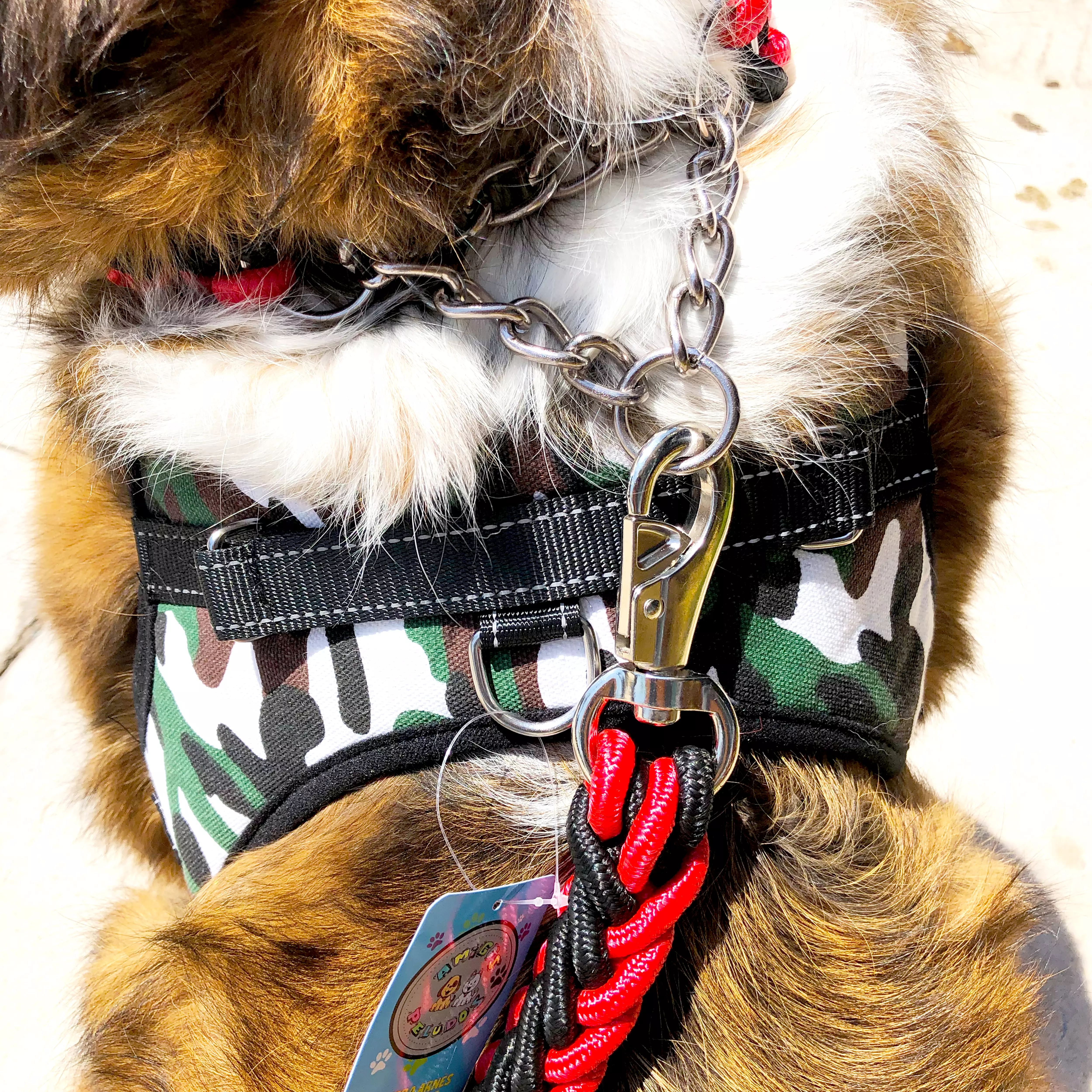 Foto 5 pulgar | Correa con Collar para Perros Razas Grandes color Rojo con Negro