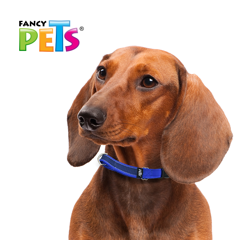 Foto 5 pulgar | Collar con Ultra Grip y Bandas Reflejantes para Perro Fancy Pets color Azul