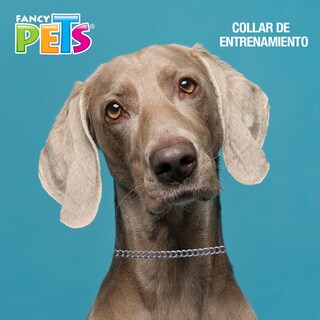 Foto 2 | Collar de Entrenamiento para Perro Fancy Pets