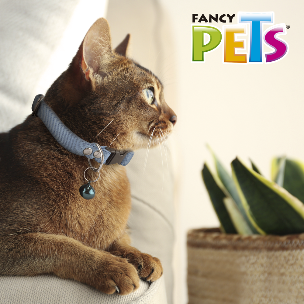 Foto 5 | Collar Elástico con Cascabel para Gato Fancy Pets