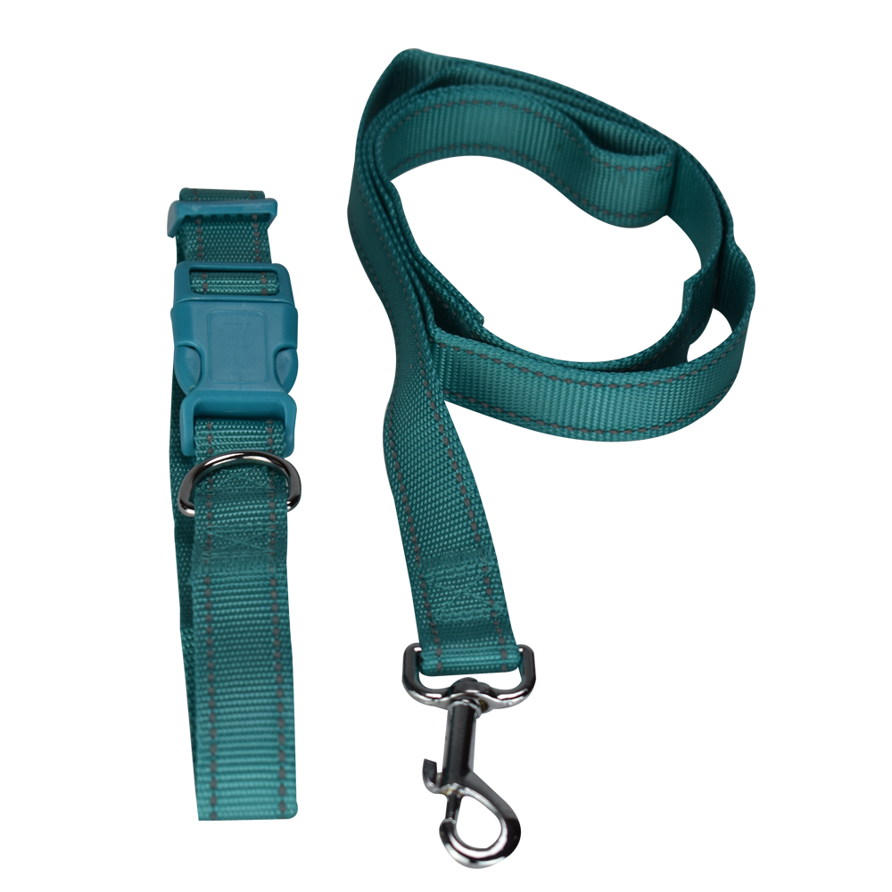 Correa con Collar Fancy Pets para Mascota