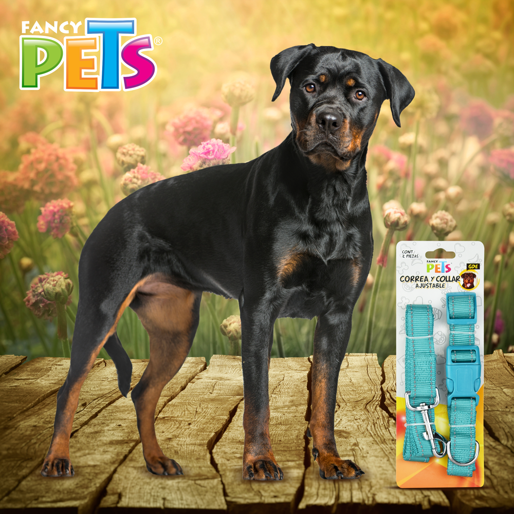 Foto 4 | Correa con Collar Fancy Pets para Mascota