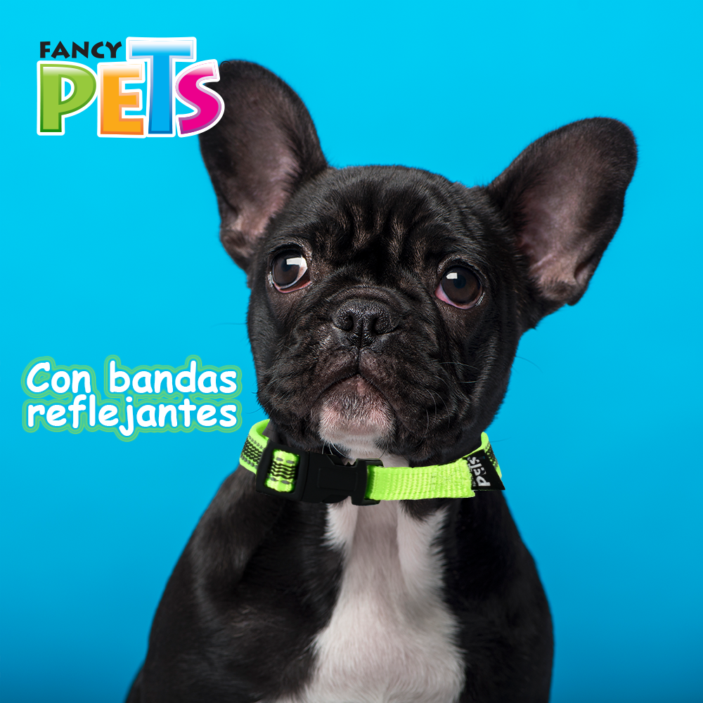 Foto 5 pulgar | Collar Ajustable Fancy Pets color Verde para Mascota