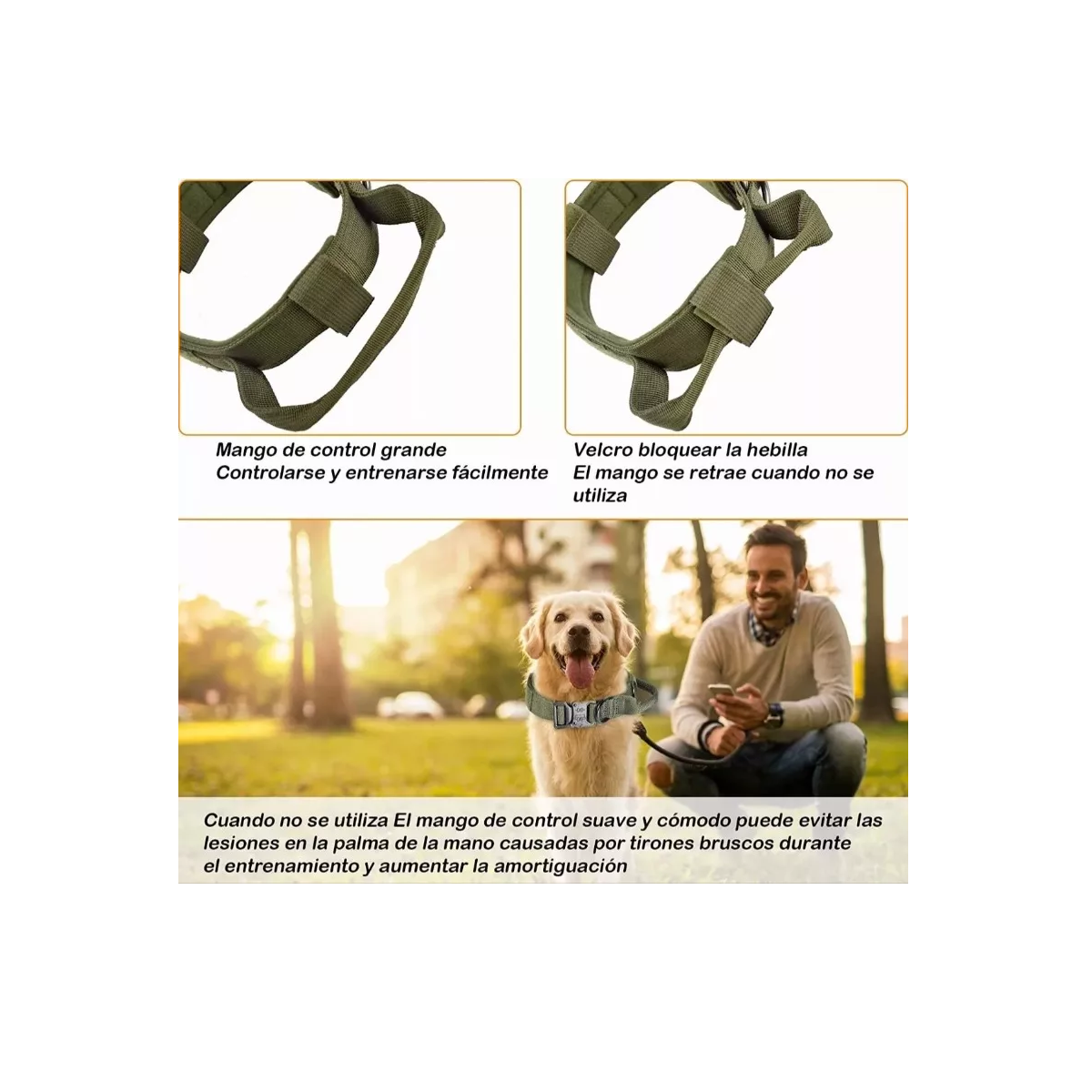 Foto 4 pulgar | Collar Táctico para Perro Eo Safe Imports ESI-8436 color Verde con Hebilla de Metal Resistente Talla L