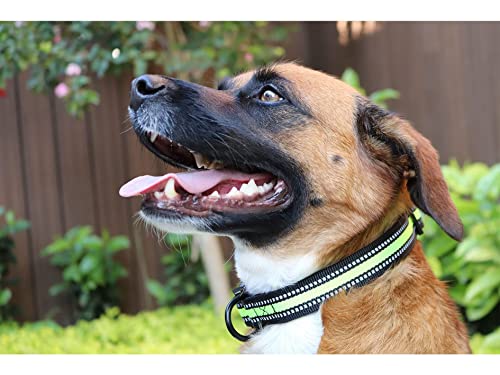 Foto 2 | Collar Ajustable Pet's Life para Mascota
