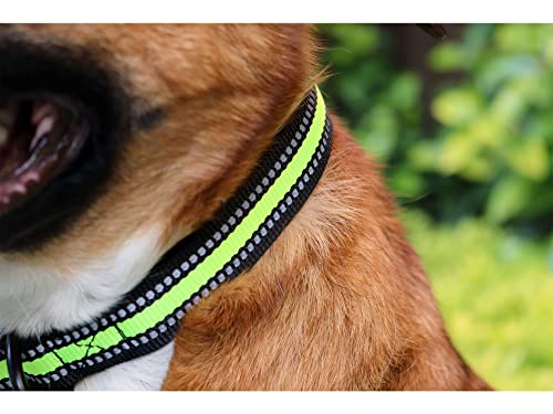 Foto 6 pulgar | Collar Ajustable Pet's Life para Mascota