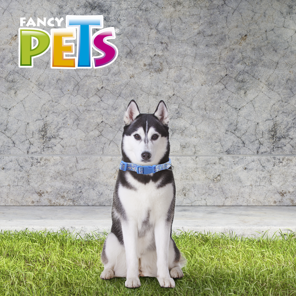 Foto 4 | Collar para Perro Fancy Pets FL9512 Multicolor Tamaño Grande