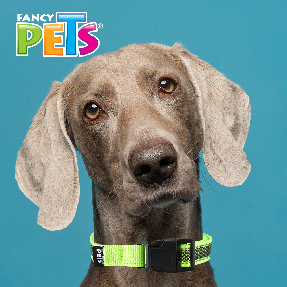 Foto 2 | Collar para Perro Fancy Pets FL8725 color Verde Tamaño Grande con Ultra Grip y Bandas Reflejantes