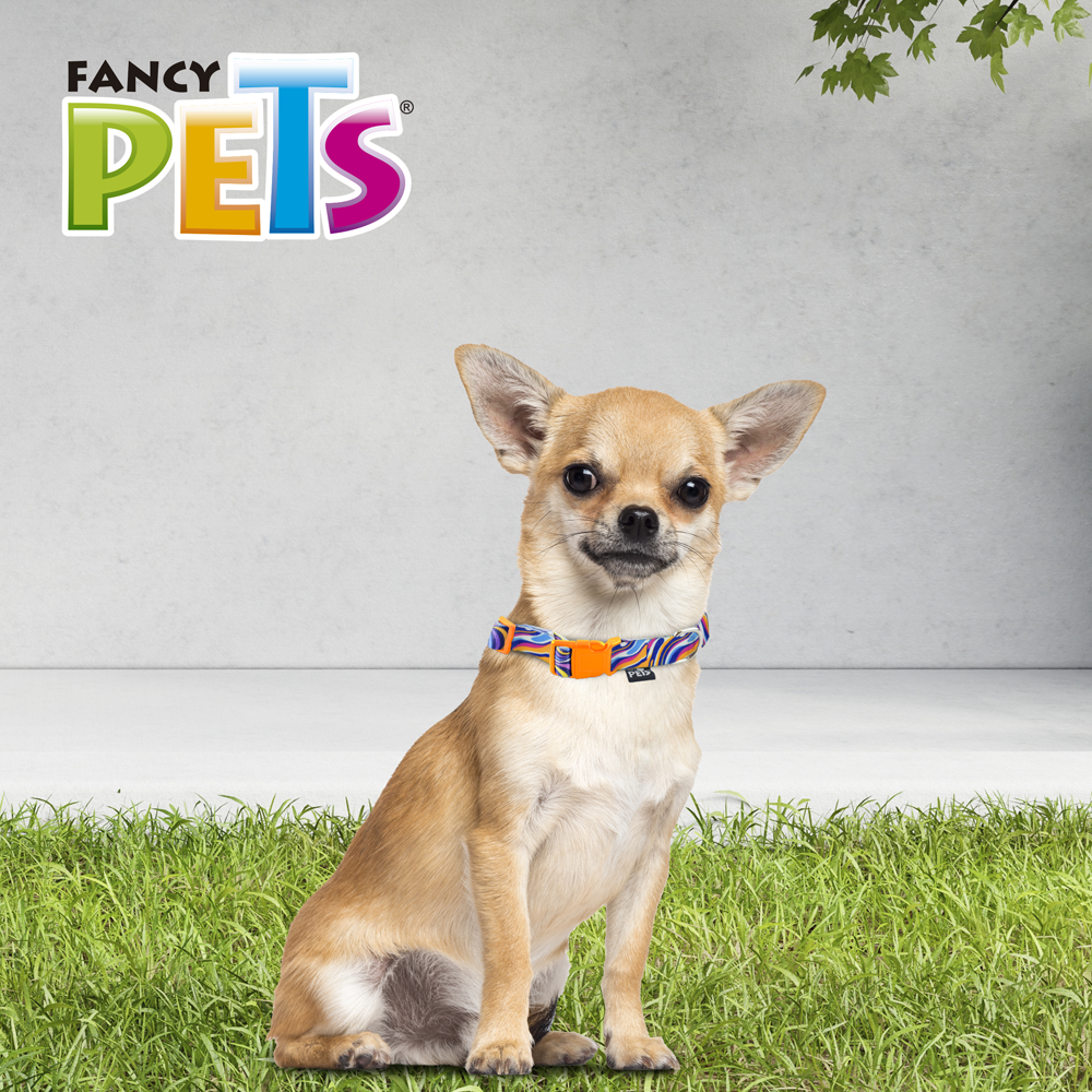 Foto 5 pulgar | Collar para Perro Fancy Pets FL9501 Multicolor Tamaño Extrachico