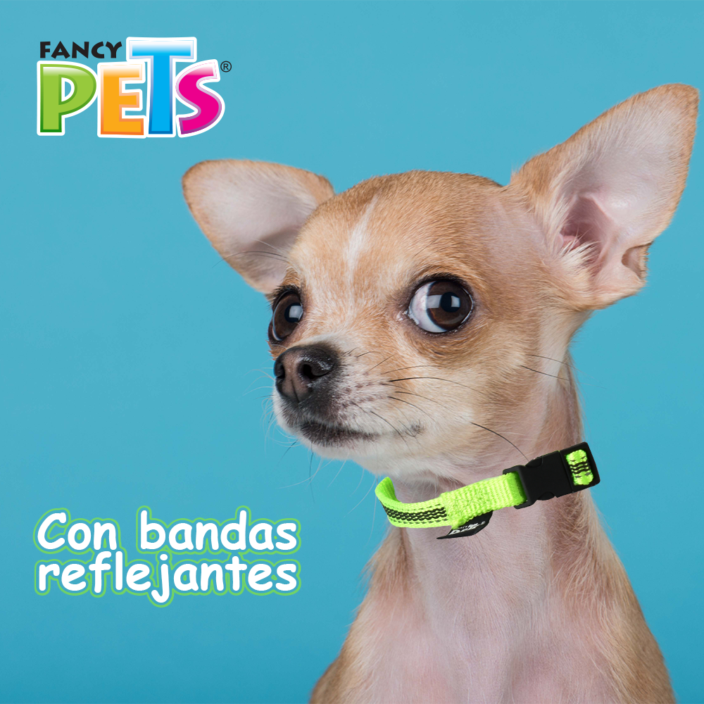 Foto 4 pulgar | Collar para Perro Fancy Pets FL8716 Multicolor Tamaño Extrachico con Ultra Grip y Bandas Reflejantes