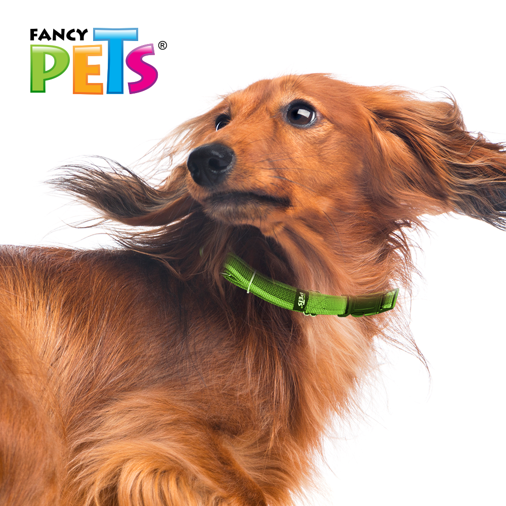 Foto 4 pulgar | Collar para Perro Fancy Pets FL8722 color Verde Tamaño Mediano con Ultra Grip y Bandas Reflejantes