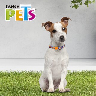 Foto 3 | Collar Galería para Perro Fancy Pets Multicolor