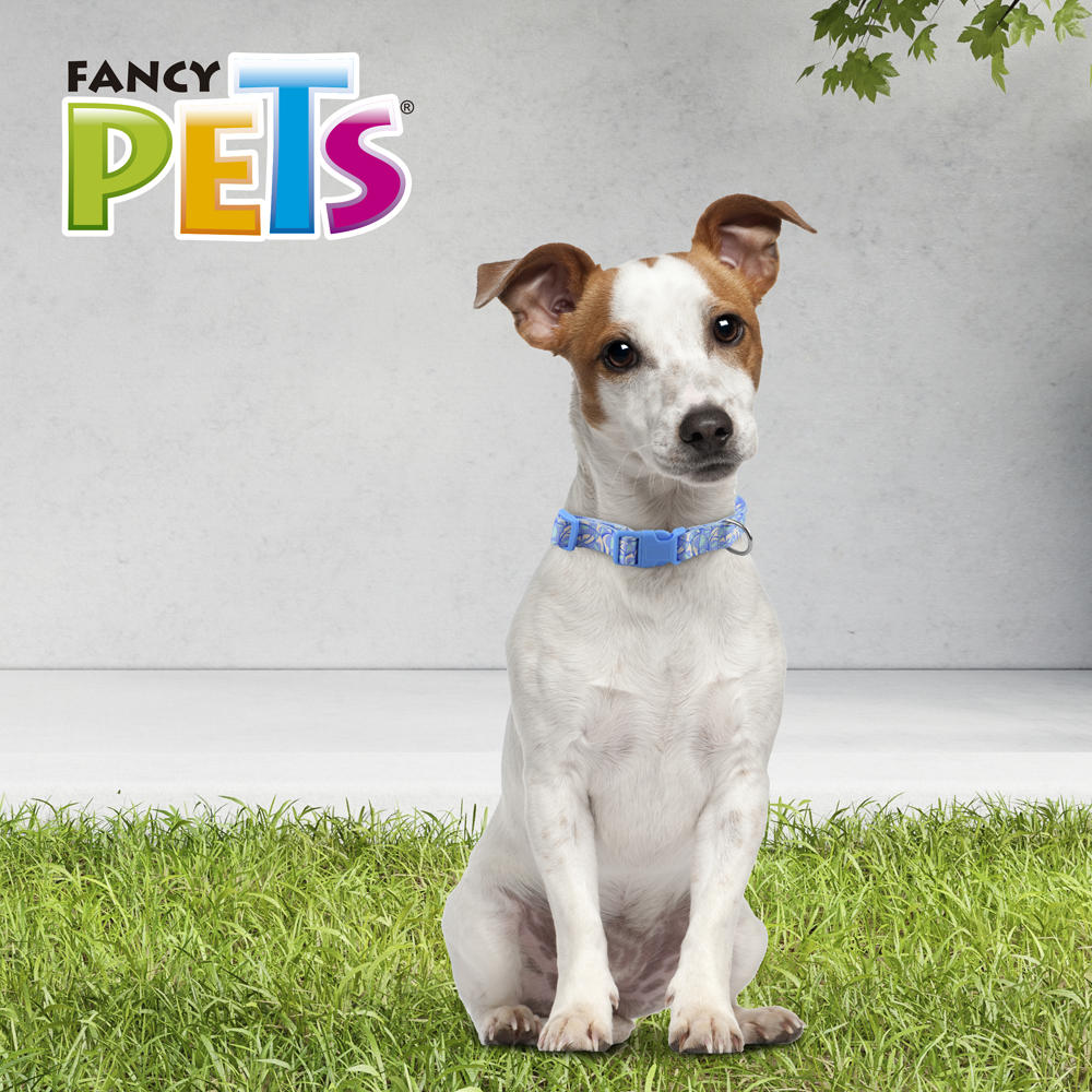 Foto 4 | Collar Galería Sky Look para Perro Fancy Pets Multicolor