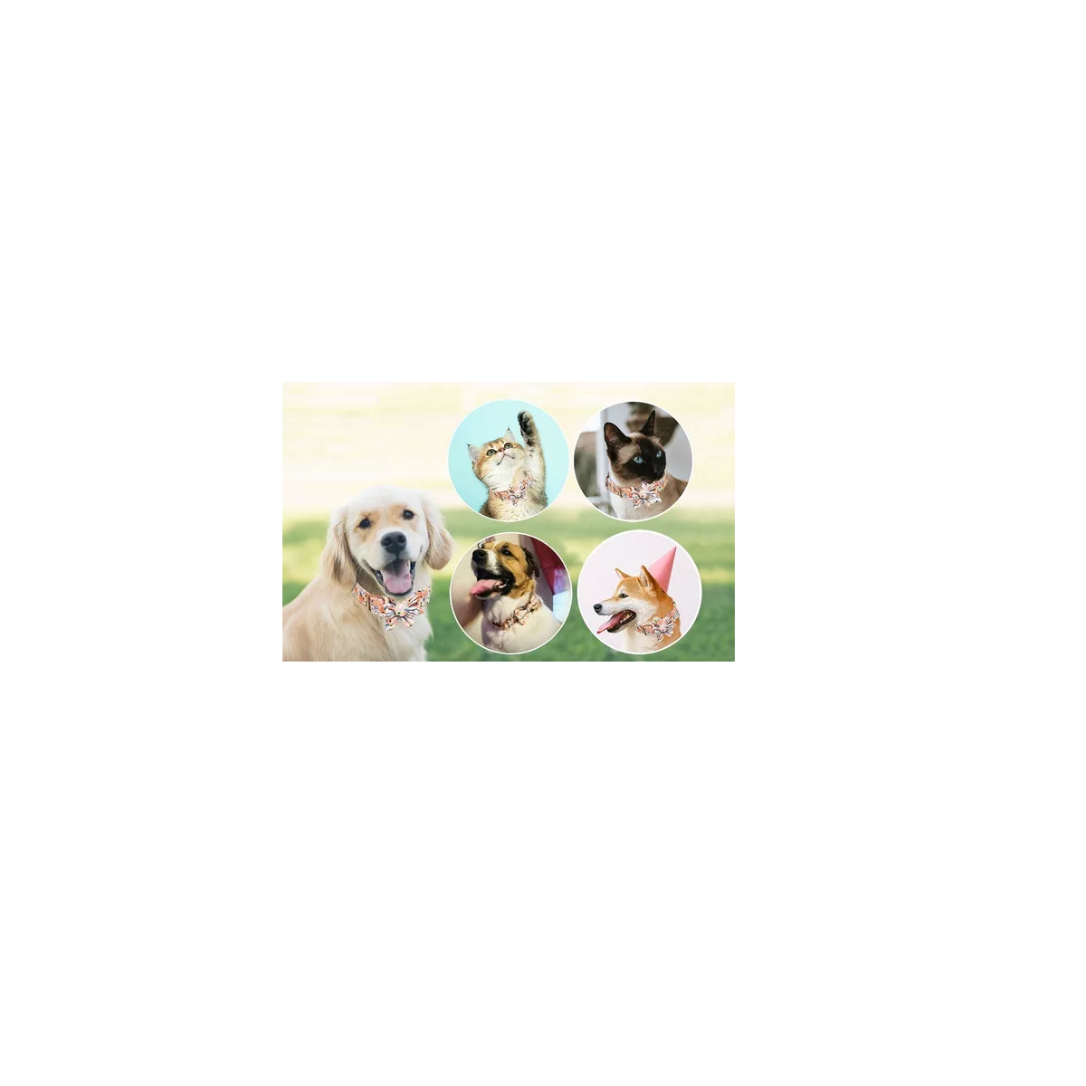 Foto 4 pulgar | Collar para Mascotas de Algodón Puro Transpirable Eo Safe Imports Esi-12205 Multicolor