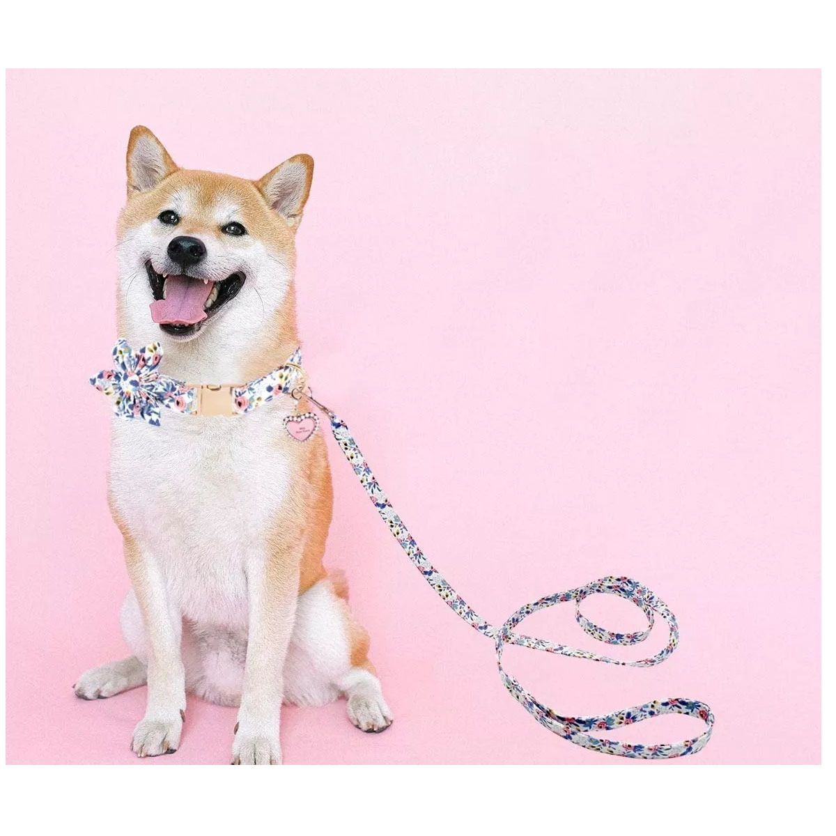 Foto 4 pulgar | Collar con Correa Eo Safe Imports Esi12204 3 Piezas para Mascota