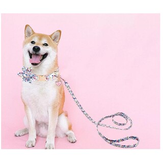 Foto 3 | Collar con Correa Eo Safe Imports Esi12204 3 Piezas para Mascota