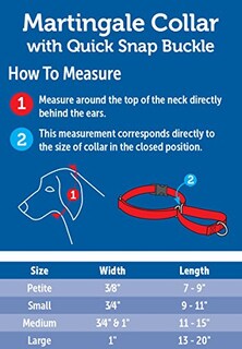 Foto 2 | Collar para Perro PetSafe Martingale con Hebilla de Cierre R - Venta Internacional