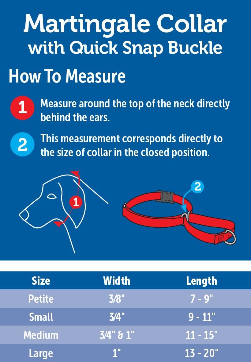 Foto 3 pulgar | Collar Martingale para Perros PetSafe Negro con Hebilla de Cierre Rápido - Venta Internacional