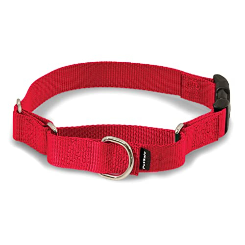 Collar para Perro PetSafe Rojo con Hebilla Quick Snap M - Venta Internacional