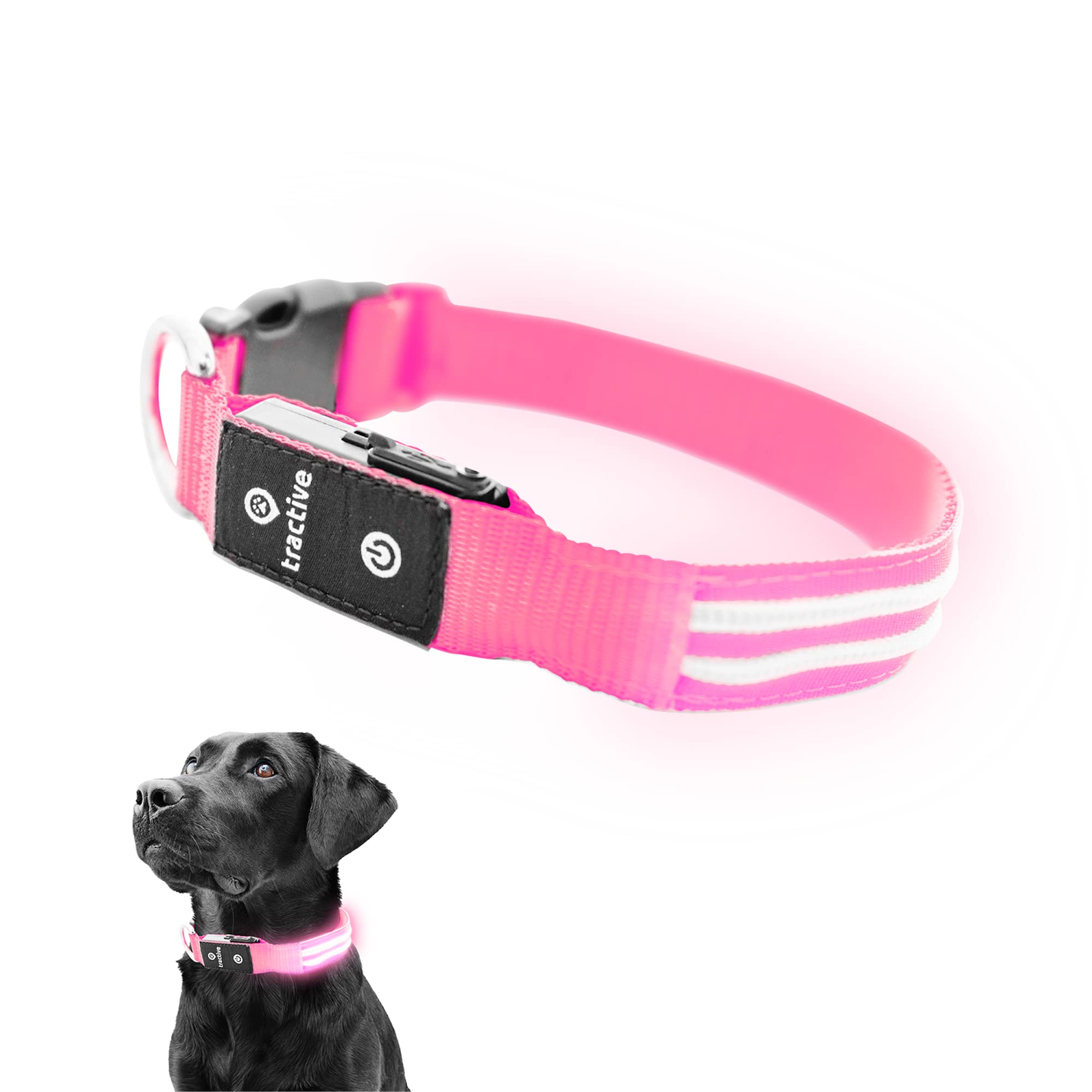 Foto 1 | Collar para Perro con Luz Led Rosa USB Recargable Resistente al Agua - Venta Internacional