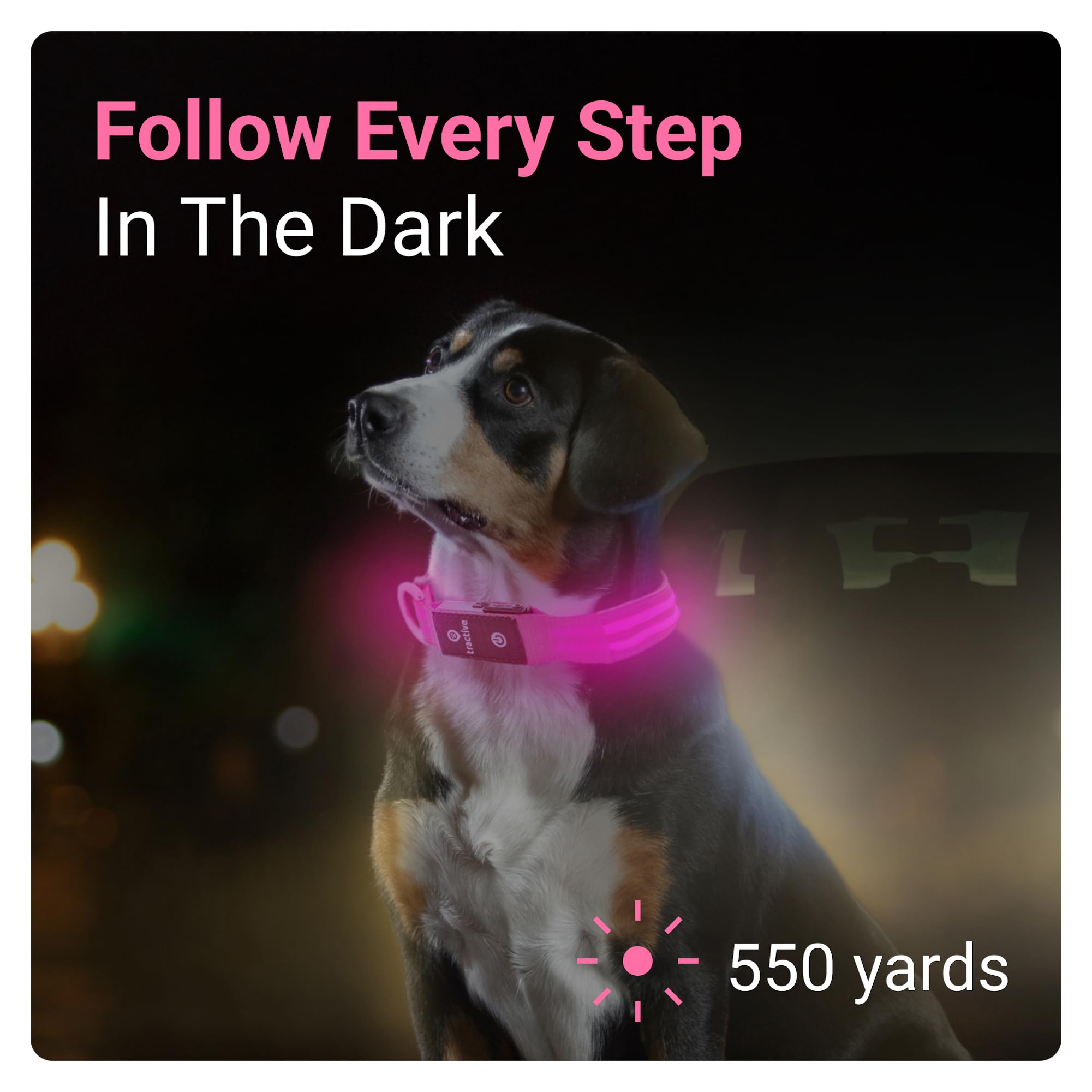 Foto 3 pulgar | Collar para Perro con Luz Led Rosa USB Recargable Resistente al Agua - Venta Internacional