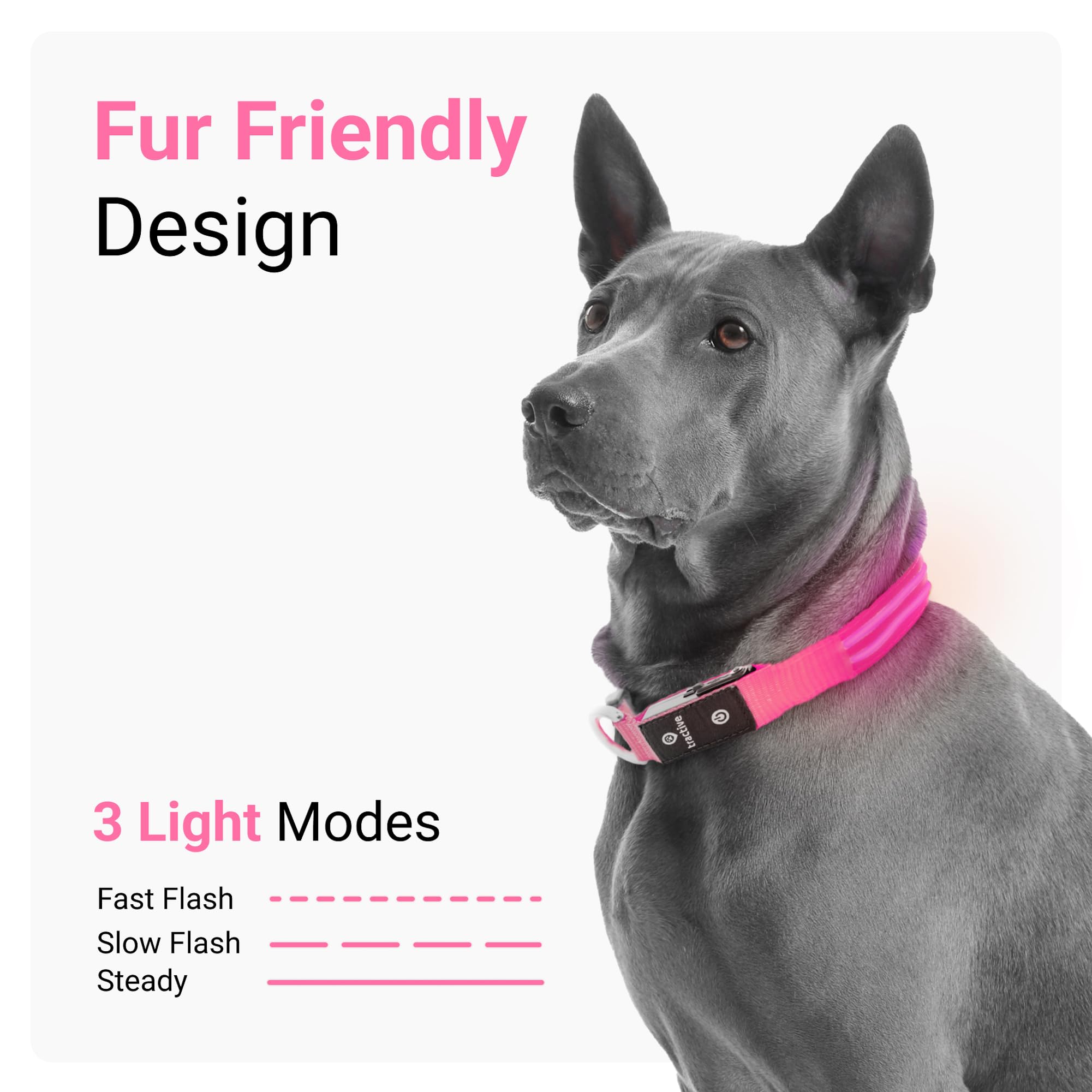 Foto 4 pulgar | Collar para Perro con Luz Led Rosa USB Recargable Resistente al Agua - Venta Internacional