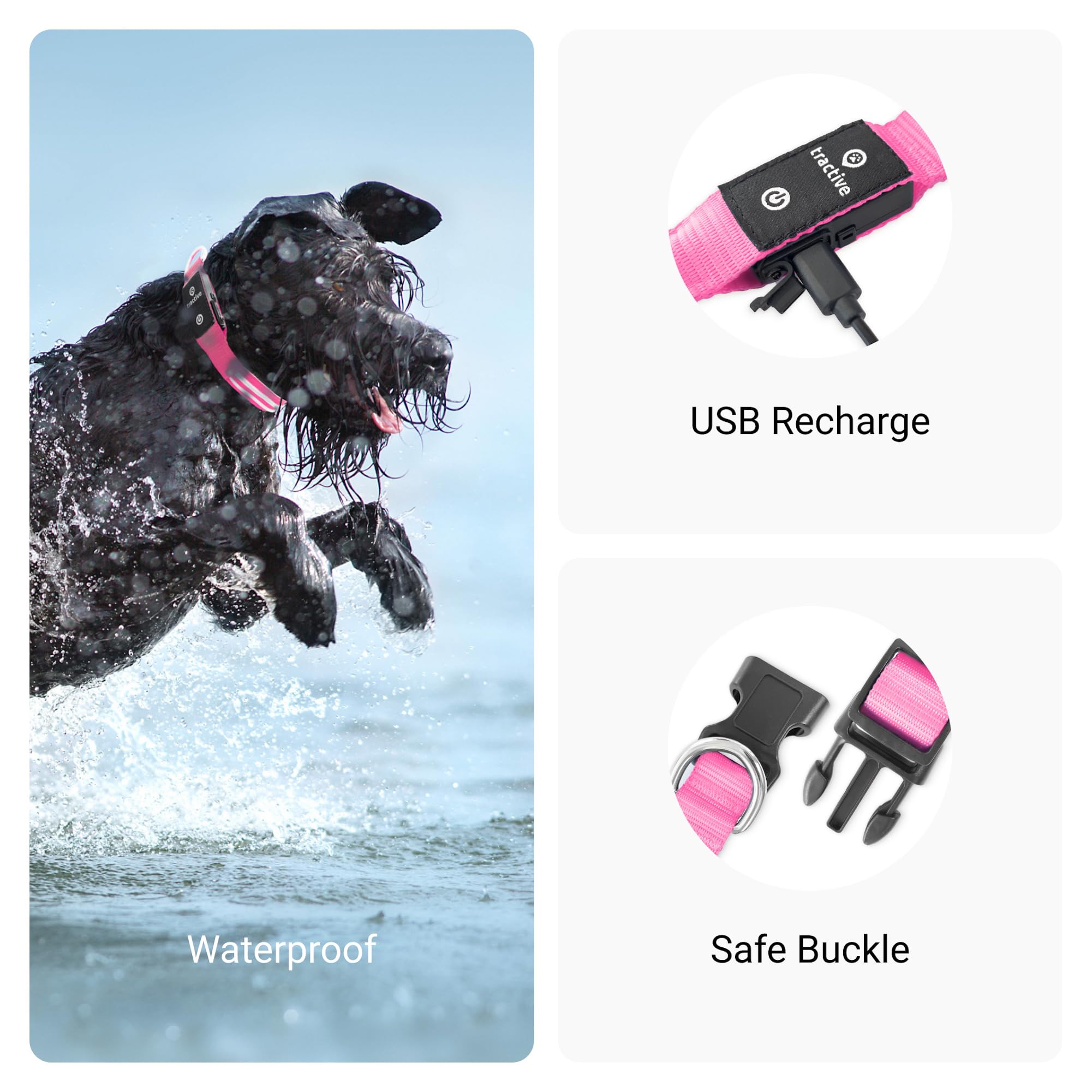 Foto 5 pulgar | Collar para Perro con Luz Led Rosa USB Recargable Resistente al Agua - Venta Internacional