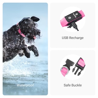 Foto 4 | Collar para Perro con Luz Led Rosa USB Recargable Resistente al Agua - Venta Internacional