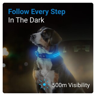Foto 2 | Collar para Perro con Luz Led Azul USB Recargable Resistente al Agua - Venta Internacional