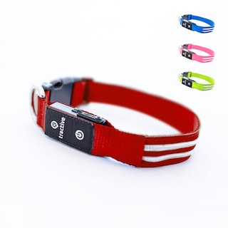 Foto 1 | Collar para Perro con Luz Led Roja USB Recargable Resistente al Agua - Venta Internacional