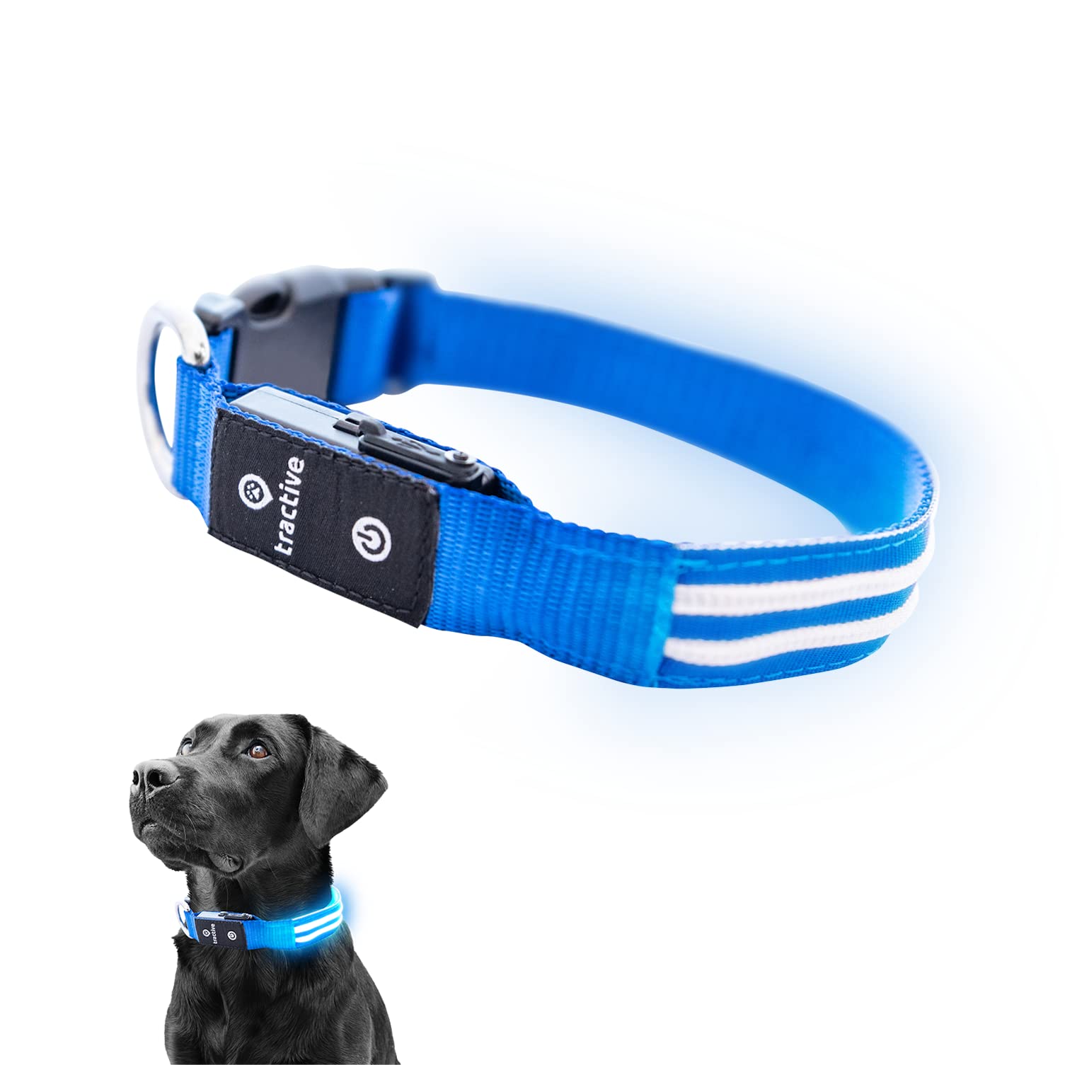 Foto 2 pulgar | Collar para Perro con Luz Led Azul USB Recargable Resistente al Agua - Venta Internacional