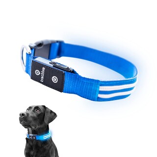 Foto 1 | Collar para Perro con Luz Led Azul USB Recargable Resistente al Agua - Venta Internacional