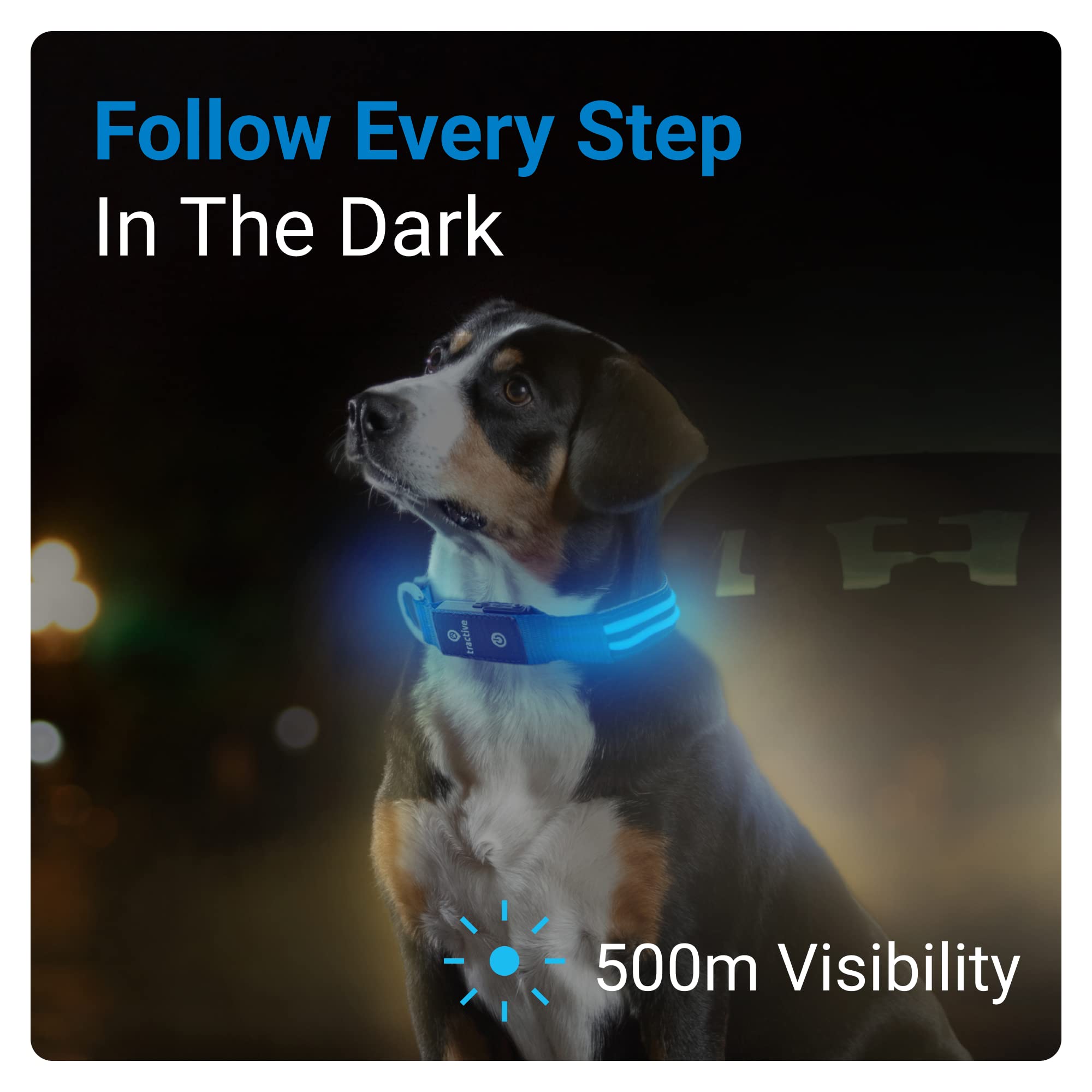 Foto 3 pulgar | Collar para Perro con Luz Led Azul USB Recargable Resistente al Agua - Venta Internacional