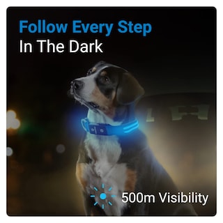 Foto 2 | Collar para Perro con Luz Led Azul USB Recargable Resistente al Agua - Venta Internacional