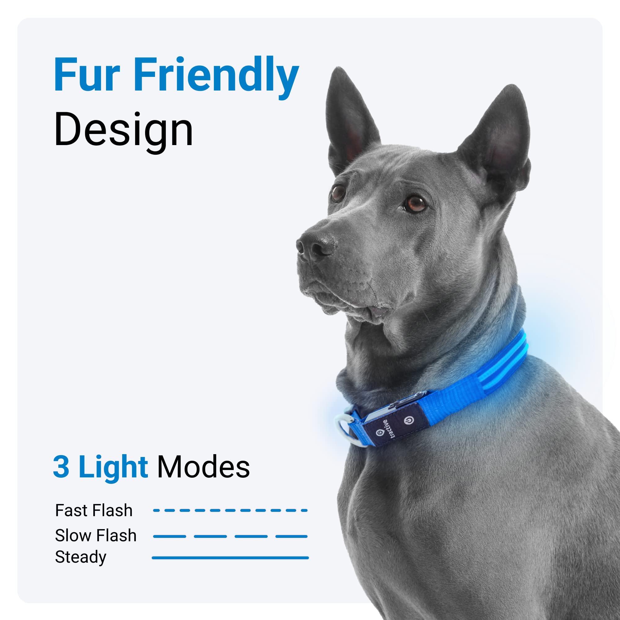 Foto 4 pulgar | Collar para Perro con Luz Led Azul USB Recargable Resistente al Agua - Venta Internacional