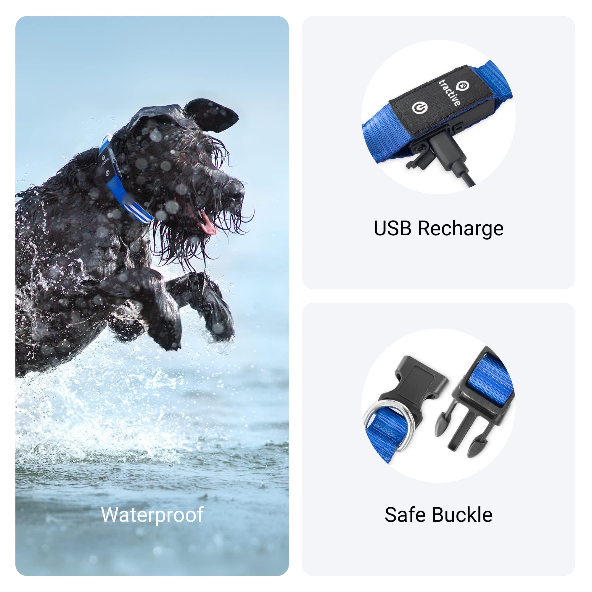 Foto 5 pulgar | Collar para Perro con Luz Led Azul USB Recargable Resistente al Agua - Venta Internacional