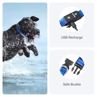 Foto 4 | Collar para Perro con Luz Led Azul USB Recargable Resistente al Agua - Venta Internacional