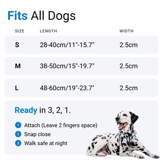 Foto 6 | Collar para Perro con Luz Led Azul USB Recargable Resistente al Agua - Venta Internacional