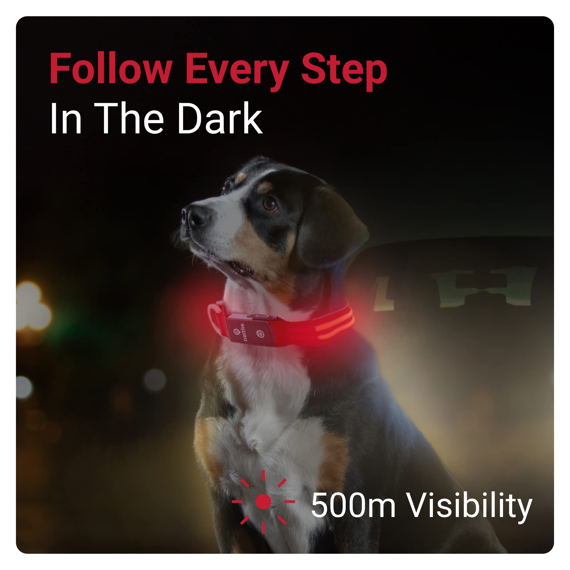 Foto 3 pulgar | Collar para Perro con Luz Led Roja USB Recargable Resistente al Agua - Venta Internacional