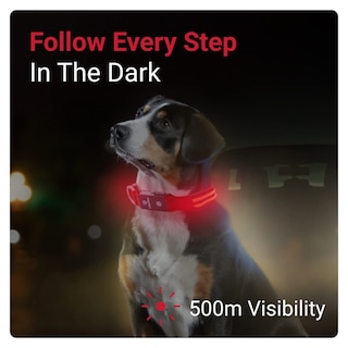 Foto 2 | Collar para Perro con Luz Led Roja USB Recargable Resistente al Agua - Venta Internacional
