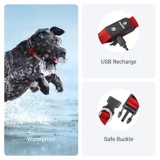 Foto 4 | Collar para Perro con Luz Led Roja USB Recargable Resistente al Agua - Venta Internacional