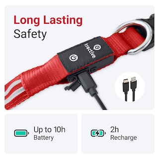 Foto 5 | Collar para Perro con Luz Led Roja USB Recargable Resistente al Agua - Venta Internacional