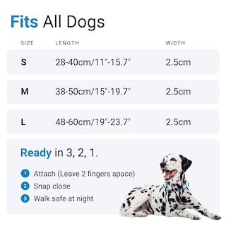 Foto 6 | Collar para Perro con Luz Led Azul USB Recargable Resistente al Agua - Venta Internacional